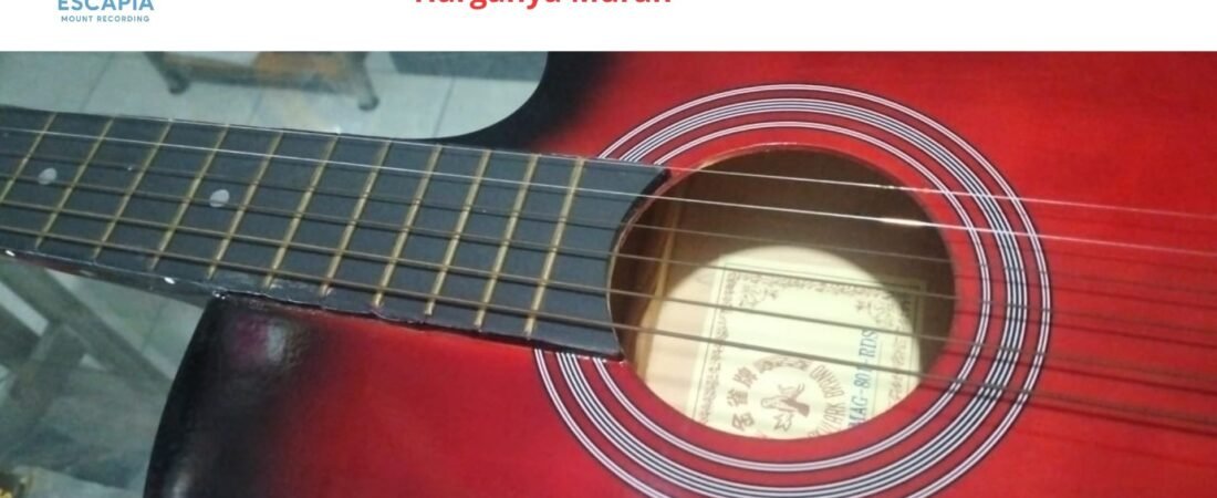Tips Memilih Gitar Berkualitas Walaupun Harganya Murah